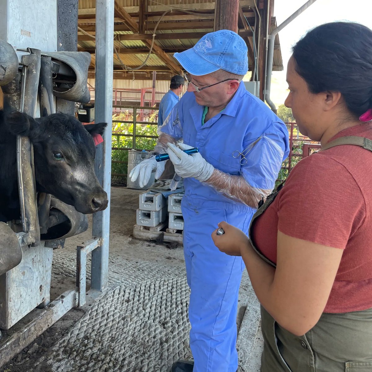 Sierra Foothill Research and Extension Center tweet media