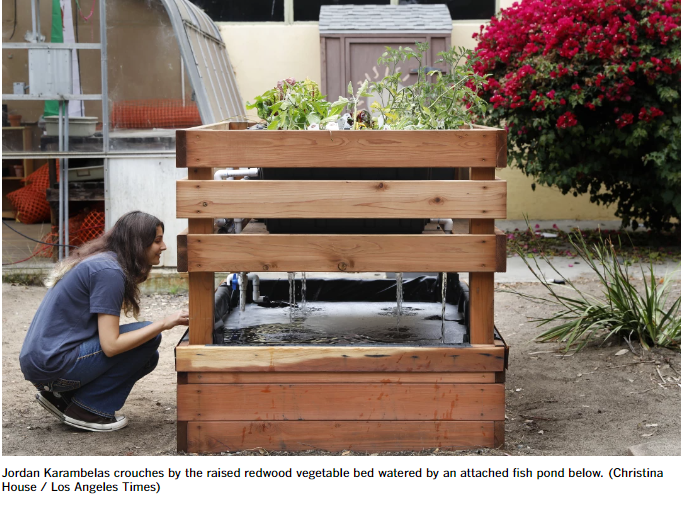 Check out this story by the <a href="/latimes/">Los Angeles Times</a> featuring <a href="/MiraCostaHS/">Mira Costa High School</a> student Jordan Karambelas who build an aquaponic system on campus! 

Read the article here: latimes.com/lifestyle/stor…