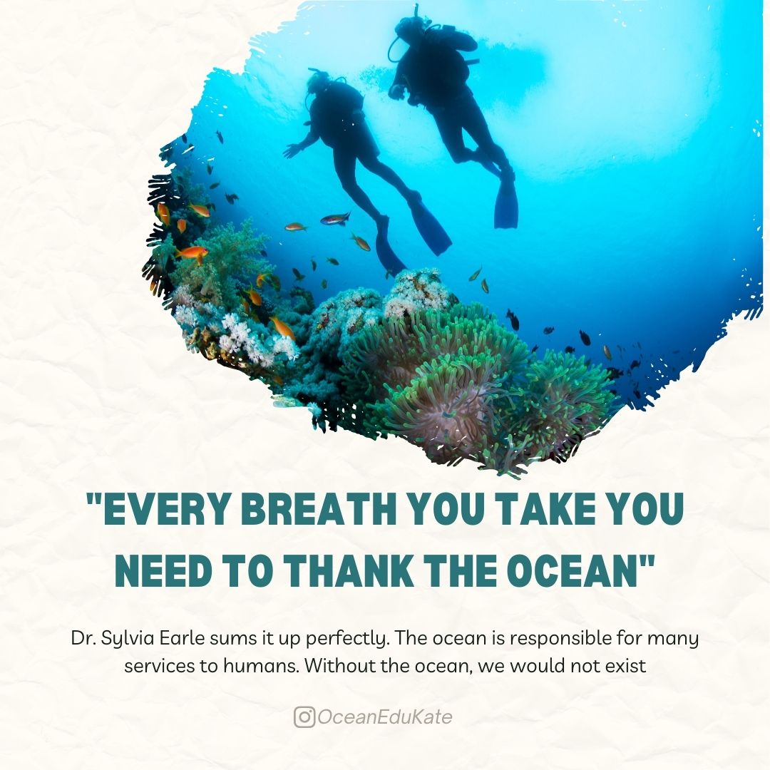 OceanEduKate's tweet photo. Did you know the ocean affects you, even if you have never laid eyes on it before! Read more here:
https://t.co/yAJ5m5WCr0 https://t.co/4Lmjuu7u4B