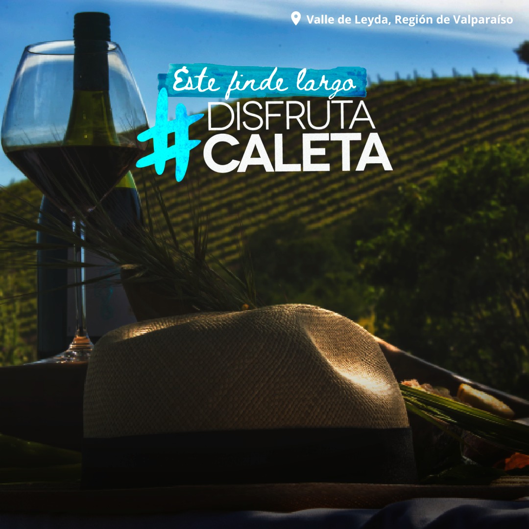 sernatur_valpo's tweet image. ¡Come rico y sin culpa! Este finde largo #DisfrutaCaleta y recorre la Región de #Valparaíso #DeCordilleraAMar    
#SanPedro #FindeLargo #Gastronomía #Santiago #Escapadas #Chile #QuéHago