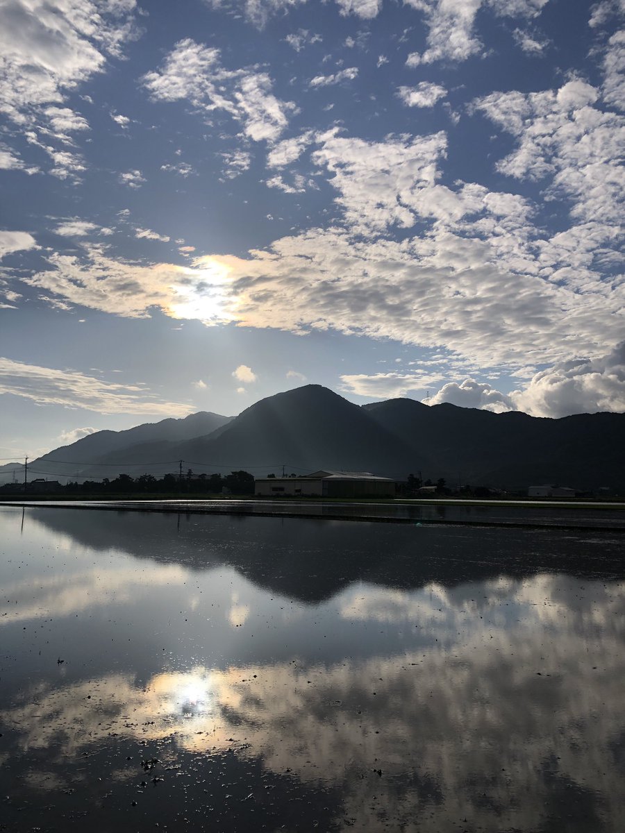 satc1440's tweet photo. 梅雨の合間の晴れ空☀️

初夏の匂う素敵な朝っぷんでした✨

STEPNの変化が激しくて戦略性うんぬんに少々疲れていたので、癒されました🍀

これからも黙々と歩きます✊

#STEPN https://t.co/fTJAXc9fZp