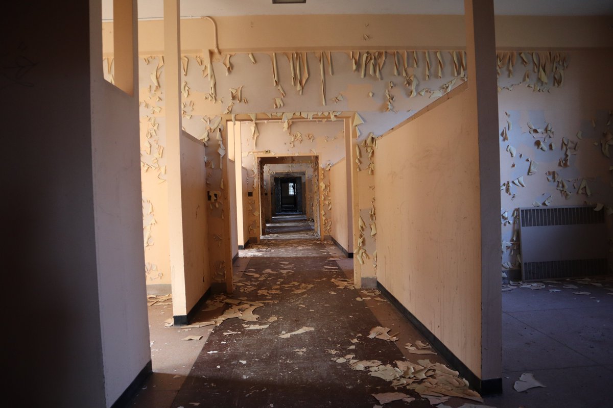 Upstateurbexing's tweet photo. hallway filled with only natural decay and no vandalism. #urbex #abandoned #decay https://t.co/4X0Du09QNw