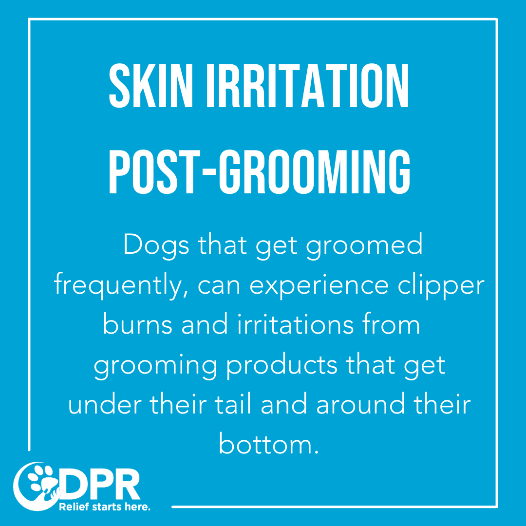 DogPainRelief1's tweet photo. Did you know there are a number of reasons behind why your dog could be scooting? Swipe ➡️ to learn a few reasons behind scooting 

#CDPR #ReliefStartsHere https://t.co/scHEvzmliU