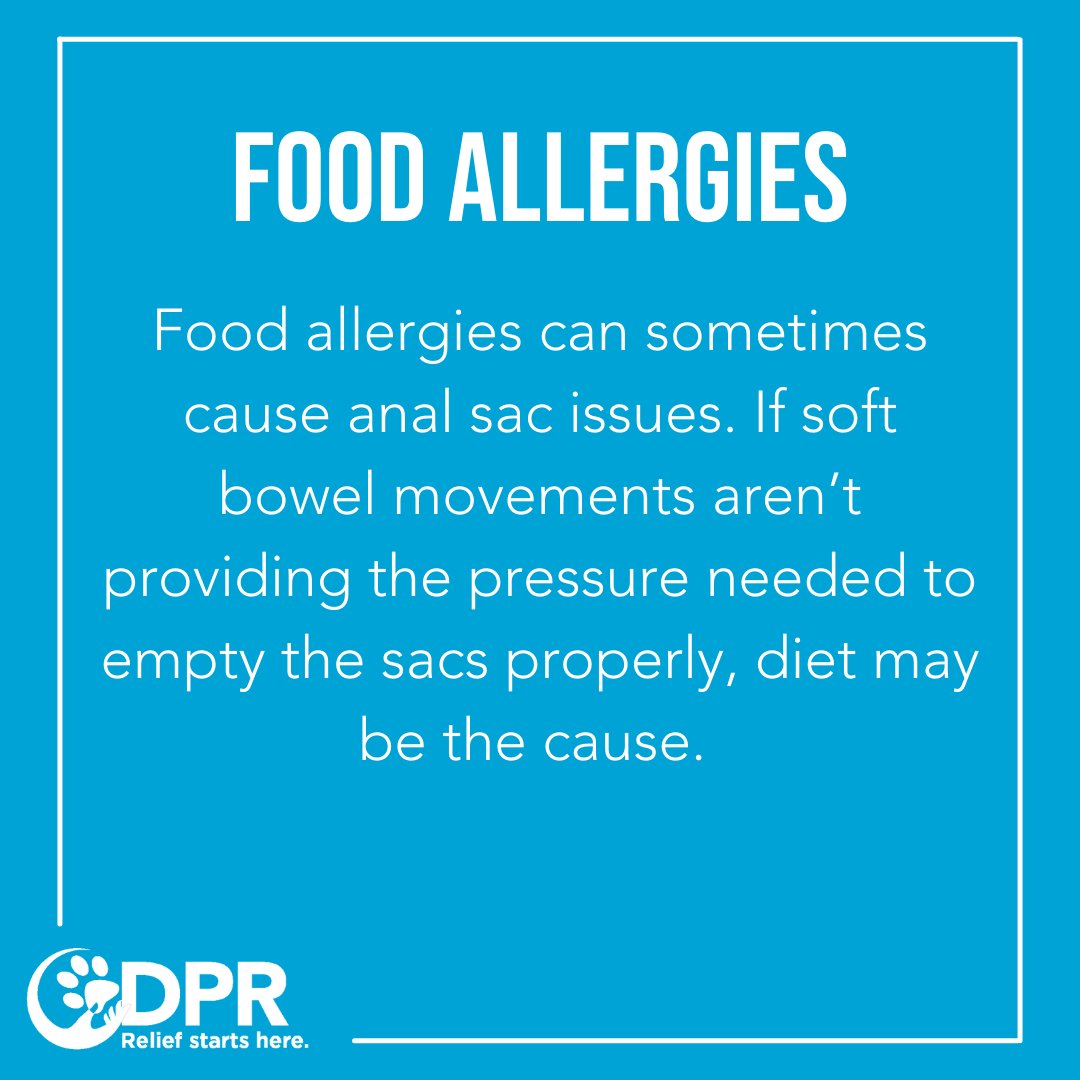 Did you know there are a number of reasons behind why your dog could be scooting? Swipe ➡️ to learn a few reasons behind scooting 

#CDPR #ReliefStartsHere