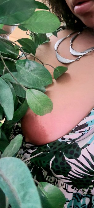 Just trying to blend in today https://t.co/A8f8T72XPJ<a href="/tag/goodmorning"class="tags"><span>#goodmorning</span></a><a href="/tag/sneakpeek"class="tags"><span>#sneakpeek</span></a><a href="/tag/pics"class="tags"><span>#pics</span></a>