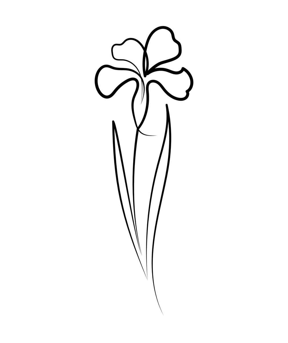 One_Line_Artist's tweet photo. Iris Flower
.
Find this NFT art piece now on @opensea in the collection : Rare One Line Drawings
.
#NFTCommunity #NFTs #NFT #nftart #NFTcollector https://t.co/WtIf5qopQw