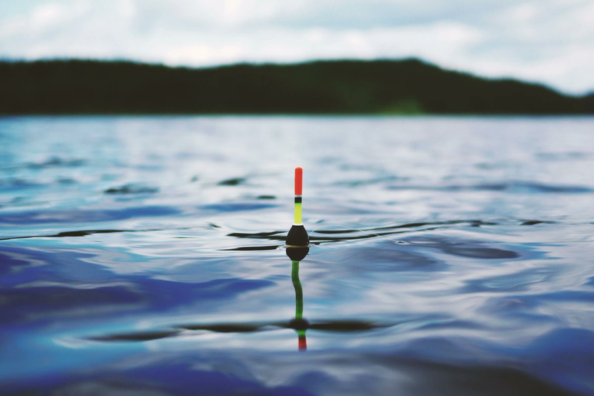 ExperienceOA's tweet photo. Gone fishing.

#outsideactivities #discoveroa #rediscovertheoutdoors #hiking #mountainbiking #kayaking #iceclimbing #rv #camping #koa #travel #employeebenefits #wellness #health #healthandwellness #weightloss #mentalhealth #covid19 #family #videogames #teenager #children #parents https://t.co/FL0mwvLAk9