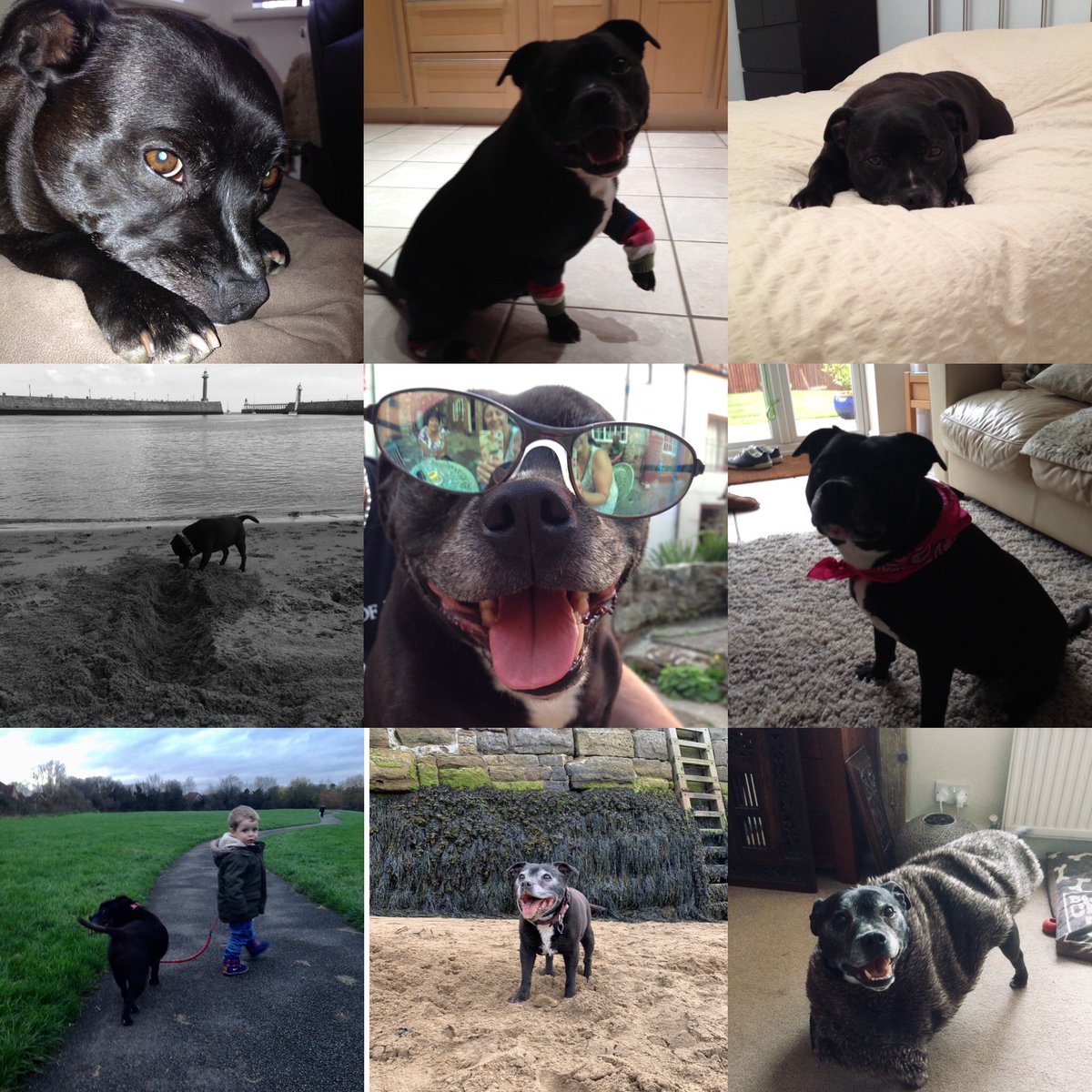 Ian Linley tweet media