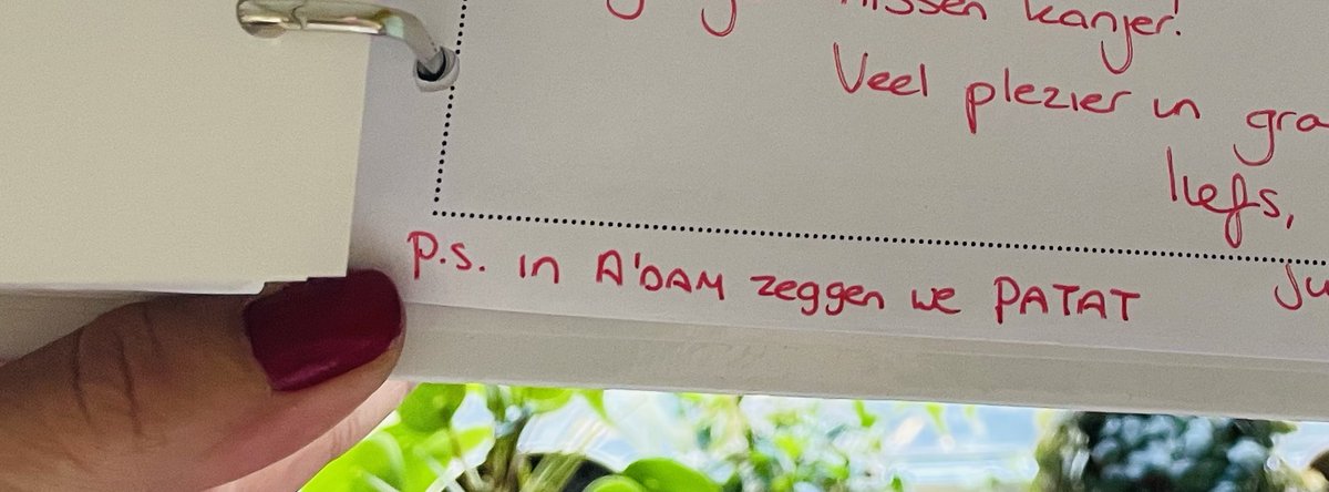 Rapport gekregen vandaag.
Schijnbaar blijft mijn zoontje, als enige in de klas, stug FRIET zeggen.

De juf: