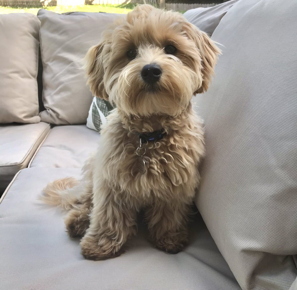 Emma-Jayne Lewis tweet media