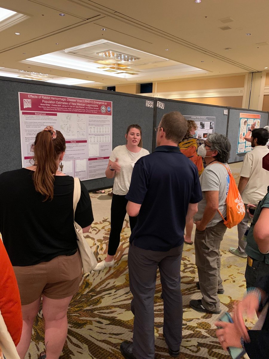 coatiwhisperer's tweet photo. Anna Kirby pulling in the crowd with her poster on the impacts of RHDV2 on NM rabbits #asmtucson https://t.co/8QMe3xZD2s