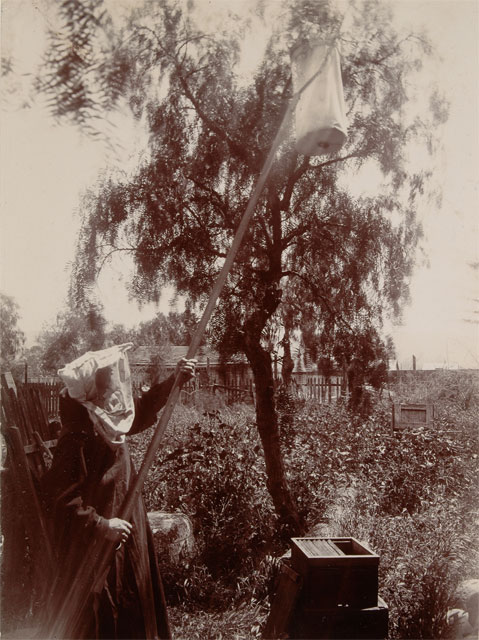 LA_Autry tweet media