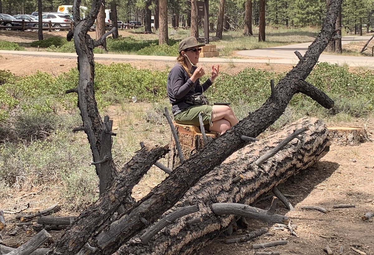 Mark Dyck tweet media