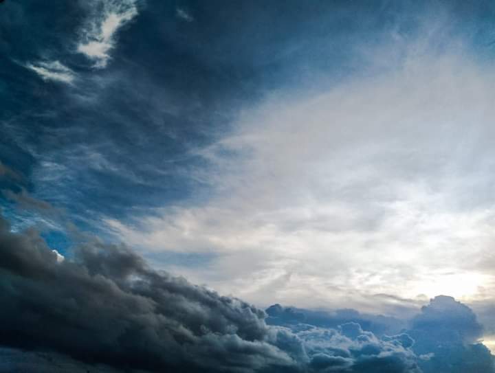 bunny em tweet media