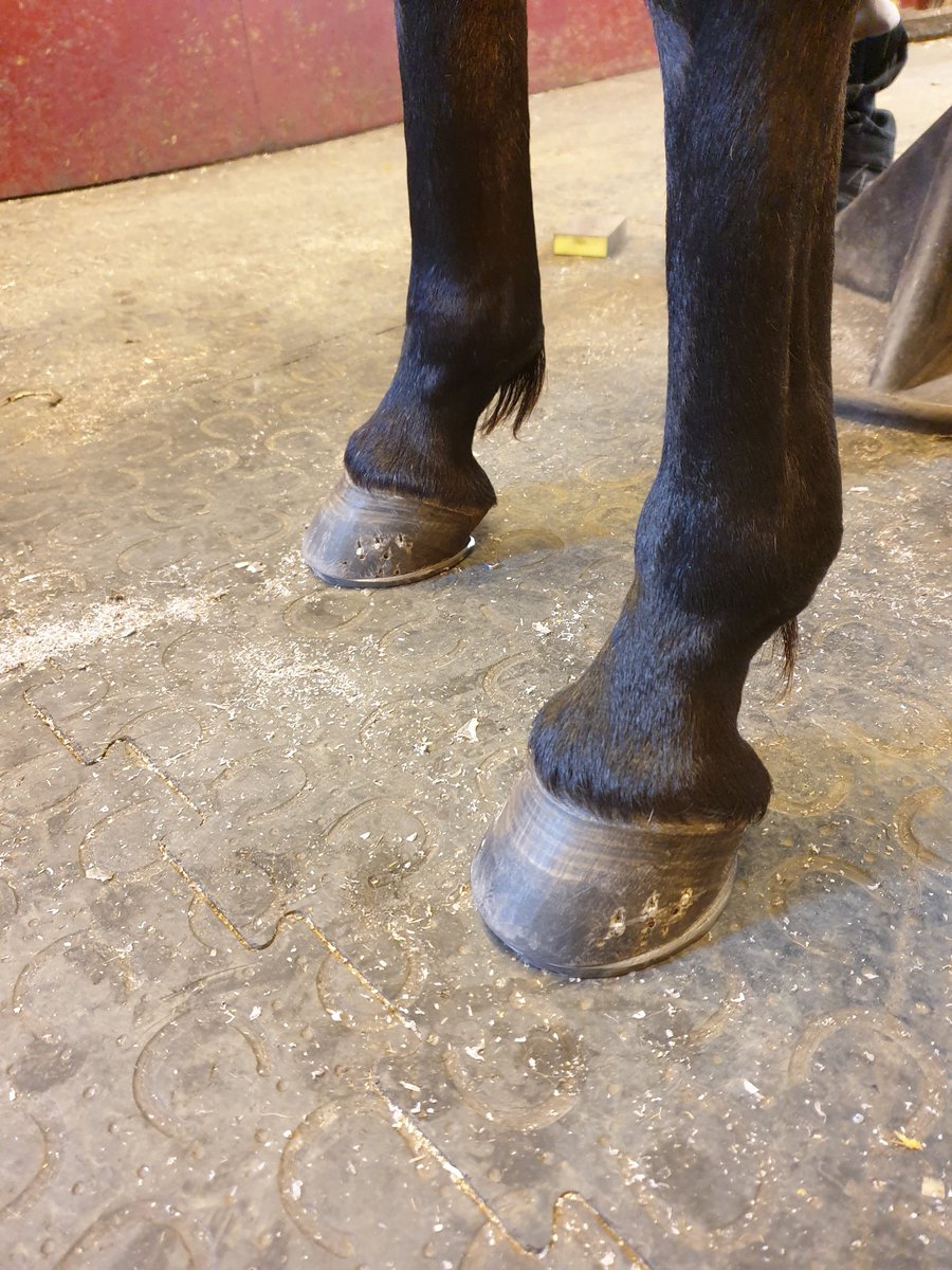 Andreas Johansson tweet media