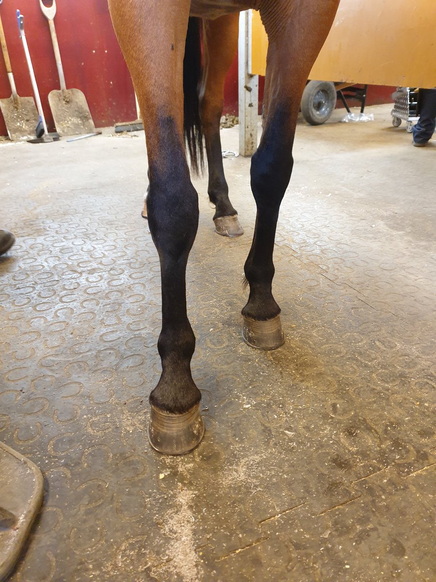 Andreas Johansson tweet media