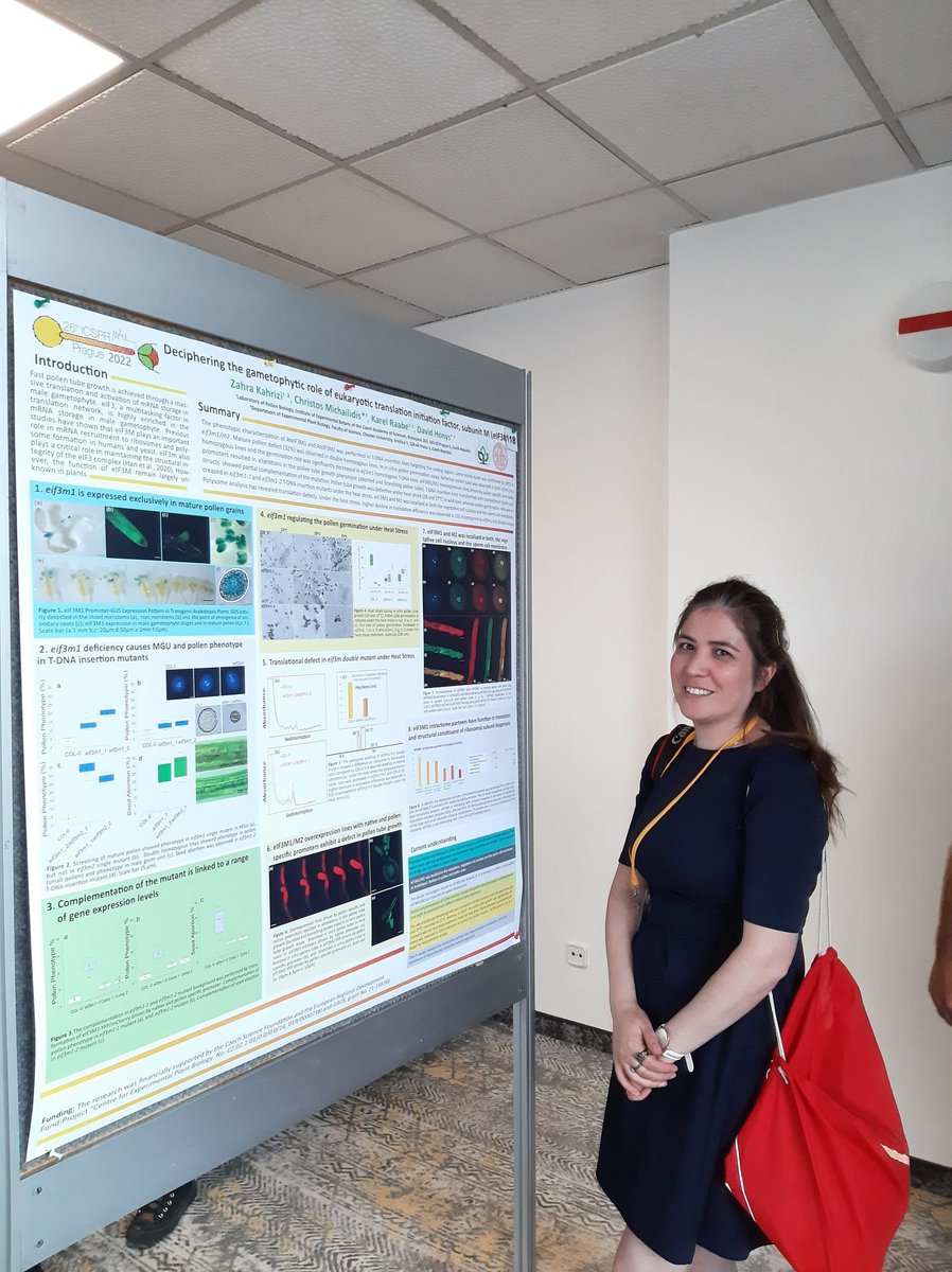 PollenBiologyCZ's tweet photo. @Vinod01380246 @ZahraKahrizi both are PhD students of our lab done great job with their posters #P114 and #P118 Well done 👏👏👏 #ICSPR2022 @UEBavcr https://t.co/cNTSmD38Al