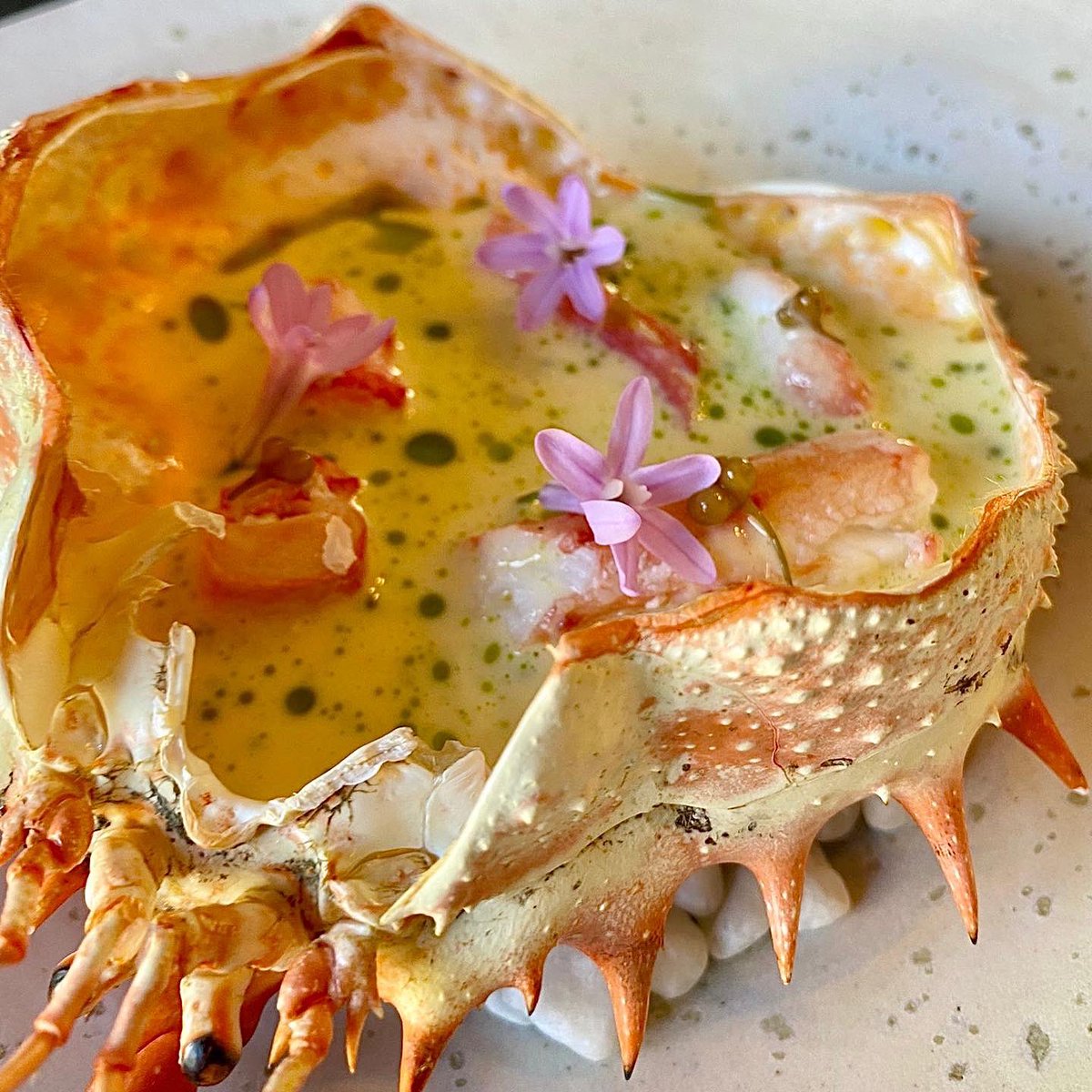 Spider crab custard with poached crab legs, oxidised wine sauce and wild garlic 🐷