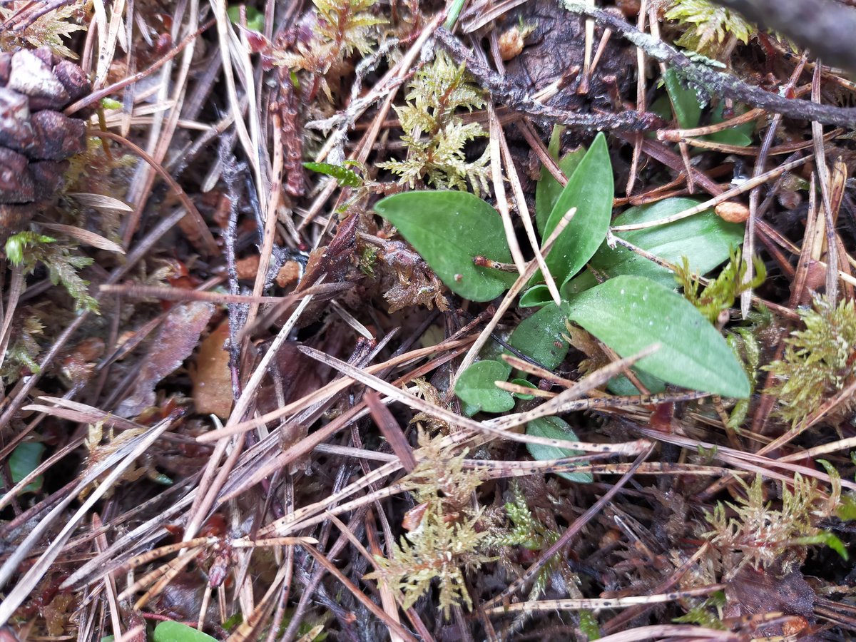 Great couple of days out sampling with our Nat4/5 pupils at Culbin. Good times!