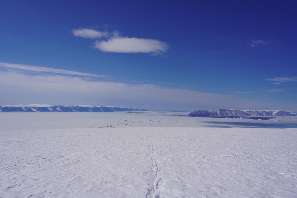 Masashi Niwano tweet media