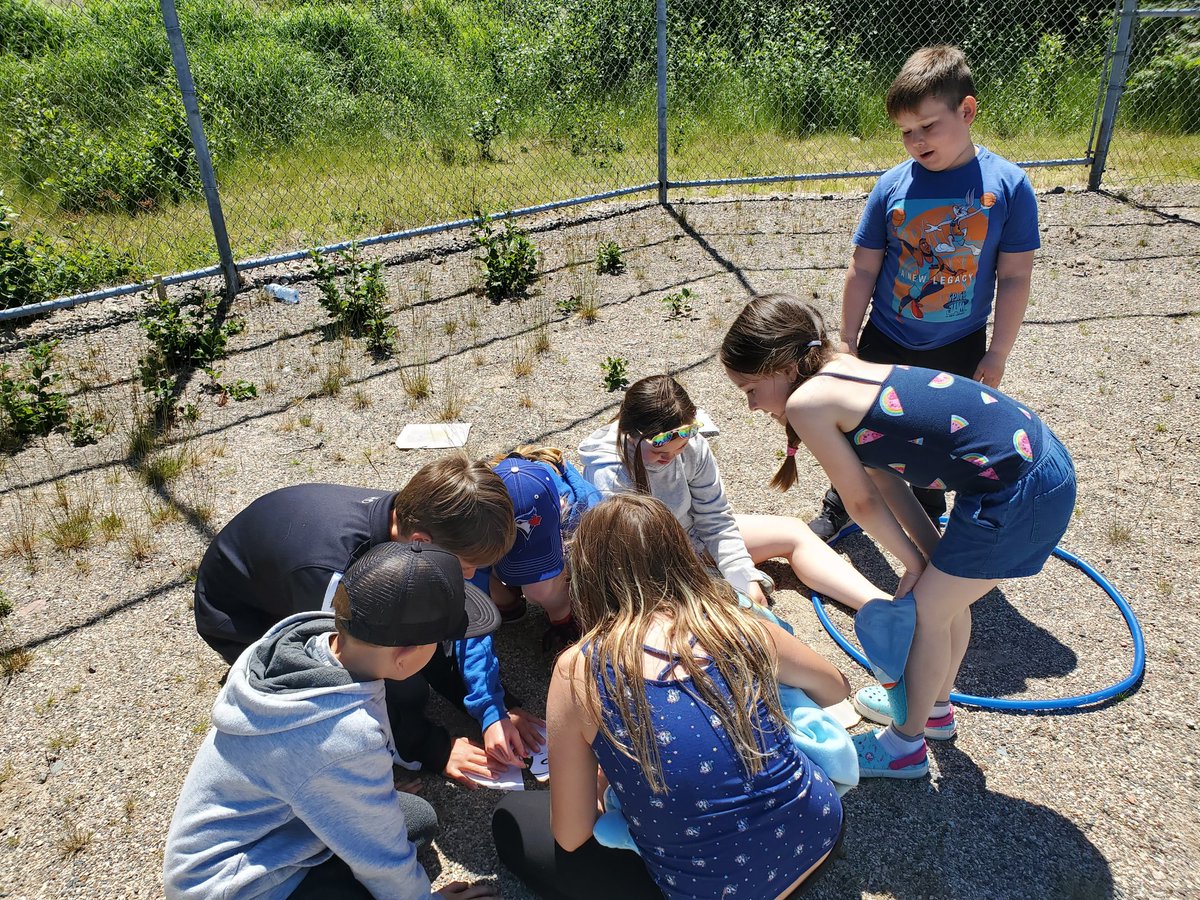 MsBrooksNL tweet media