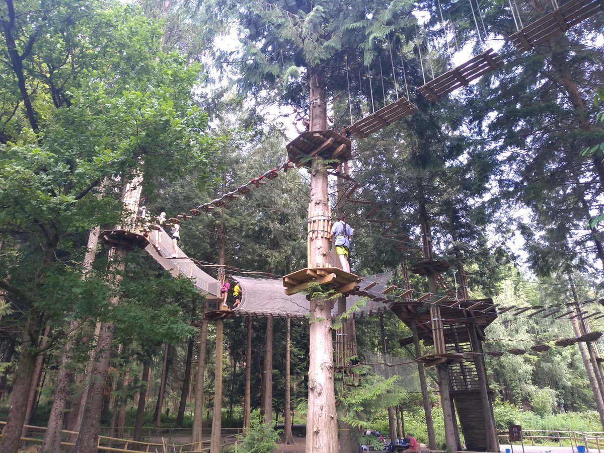 Cheltenham Prep Upper School tweet media