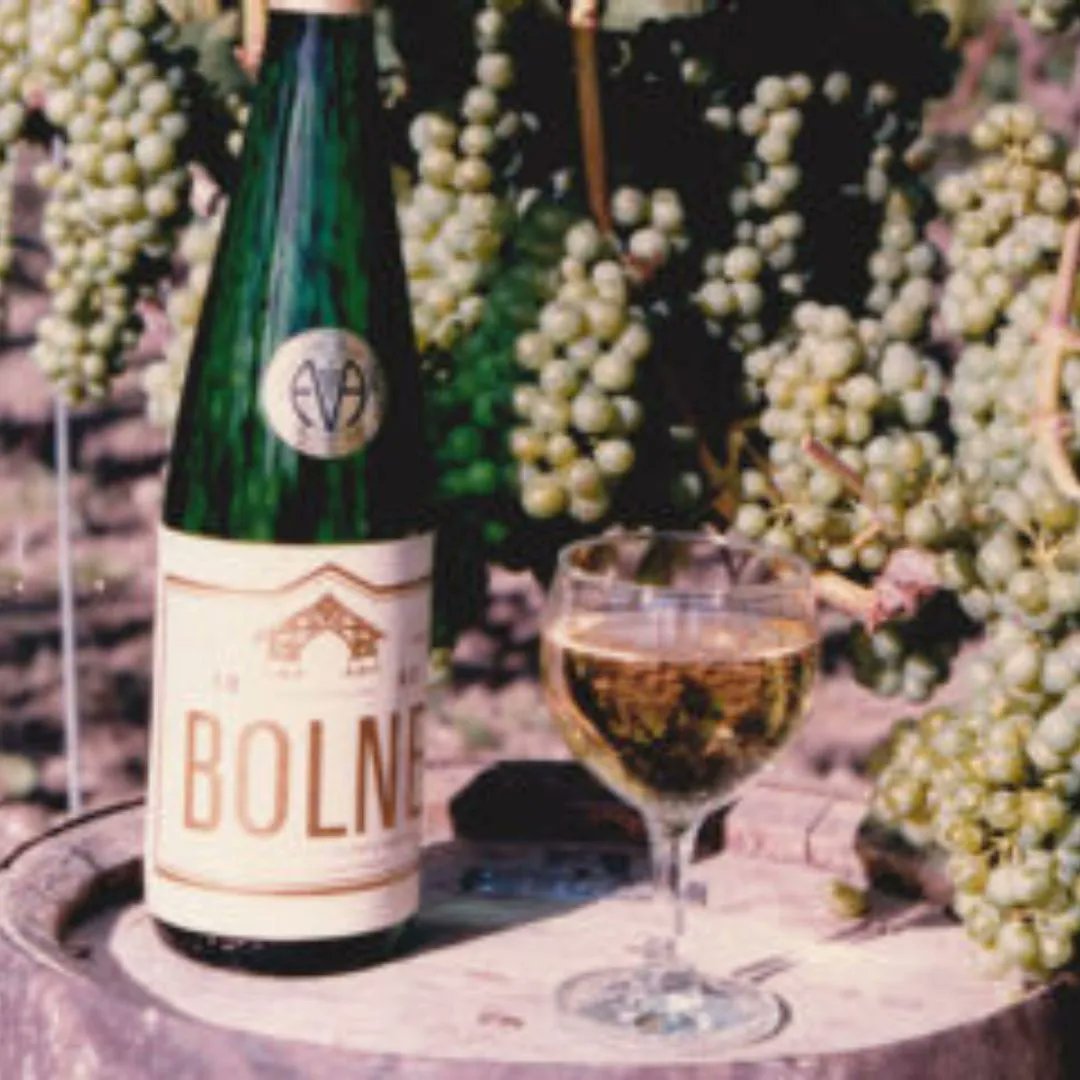 In celebration of our 50th anniversary and #EnglishWineWeek, we're looking back on our extraordinary history. Here we have 'Bolne', the first wine we produced, winning silver in the 1985 International Wine & Spirit Competition. buff.ly/3Htw0Ha #celebratewithbolney