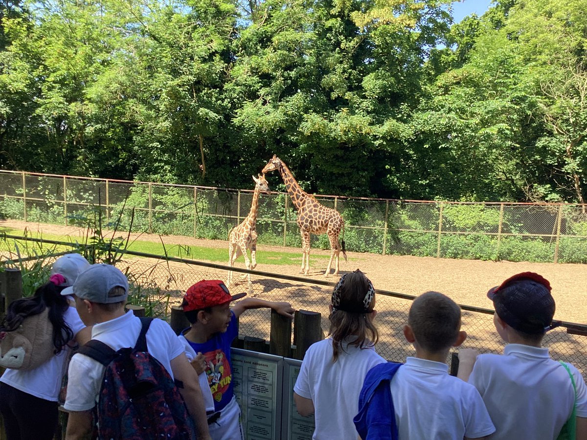 Clews_SP_R's tweet photo. Year 2 have had an amazing day at Dudley Zoo. They learnt all about habitats and adaptations, as part of their science work. They also got to look around the zoo and see some incredible animals.
@dudleyzoo 
#science https://t.co/DZ1HjX2pFH