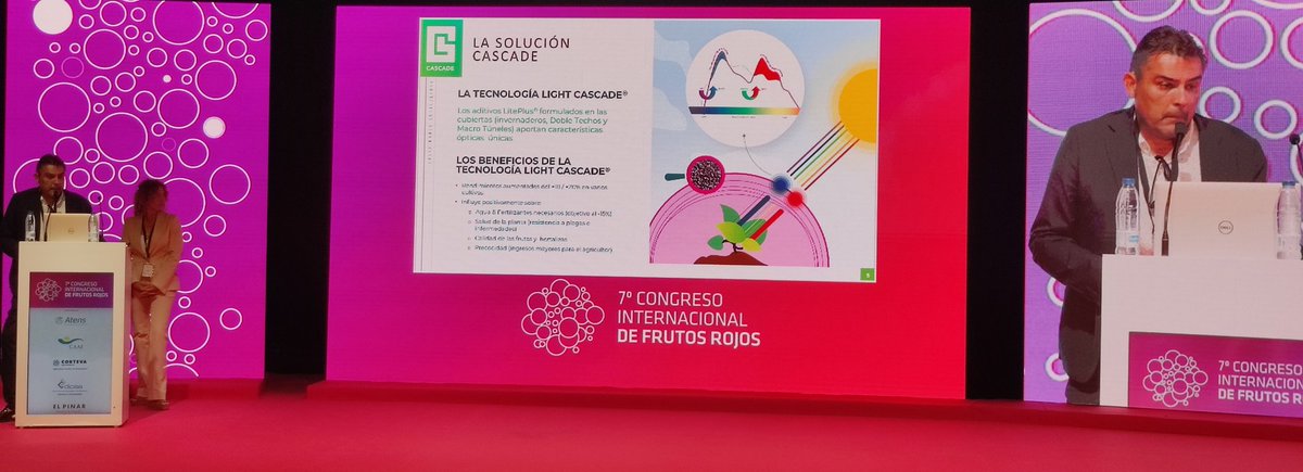 tecno_horticola's tweet photo. La empresa @Light_cascade presentó su innovadora tecnología #Liteplus ➡️  aditivos para #plásticos de uso agrícola en #hortalizas 🍅🫑🍆 y #frutosrojos 🍓🫐

Ensayos realizados en @adesva demostraron:

⬆️Rendimiento📈
⬆️Precocidad🗓️
⬆️Rentabilidad💰
Ahorro de agua y nutrientes💦 https://t.co/hyZAHPFH8w