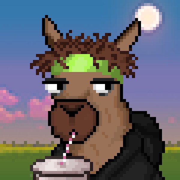 You know what I just fkn love my llama <a href="/Llamaverse_/">Llamaverse</a> . I know there are other strong communities out there but I can’t believe how much work <a href="/NFTLlama/">NFT Llama</a> and the team put in to developing and driving forward. Pfffff 💦