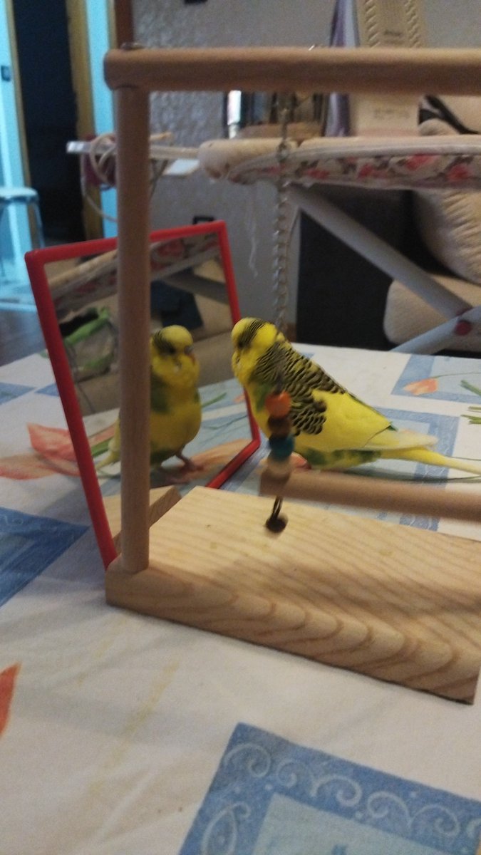 Aynada kendimle yuzlesirken her sabah ben :