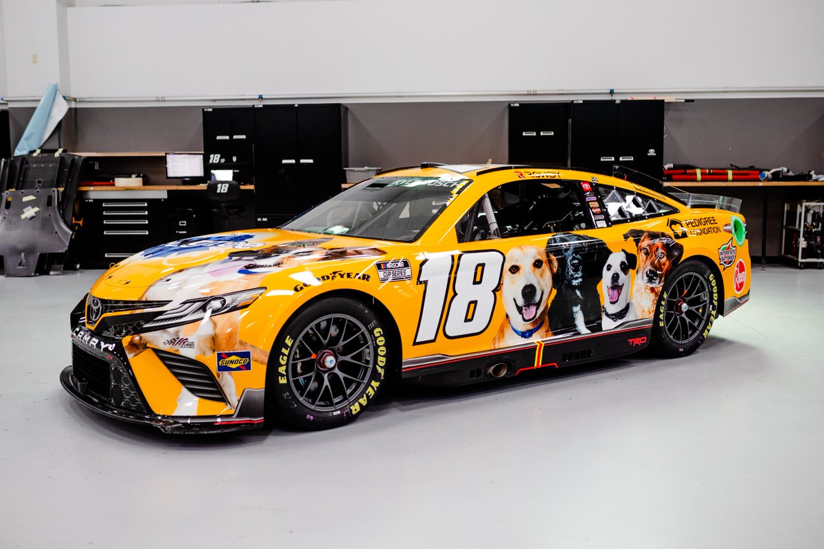 Kyle Busch on Twitter Pedigree sponsoring Kyle this weekend r/NASCAR