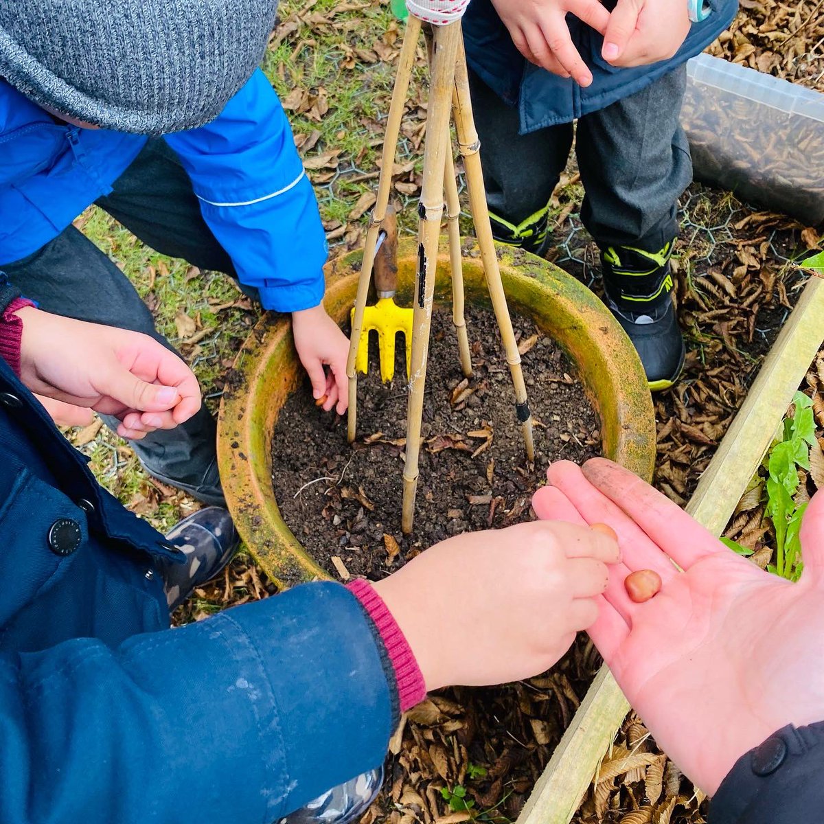 infanteducation's tweet photo. 🫘 🌱 swipe 👉🏻
Learning doesn’t always happen in one lesson and developing conceptual cycles of inquiry do not always come together in the space of a week or even a month. https://t.co/MlKhfeL7KD