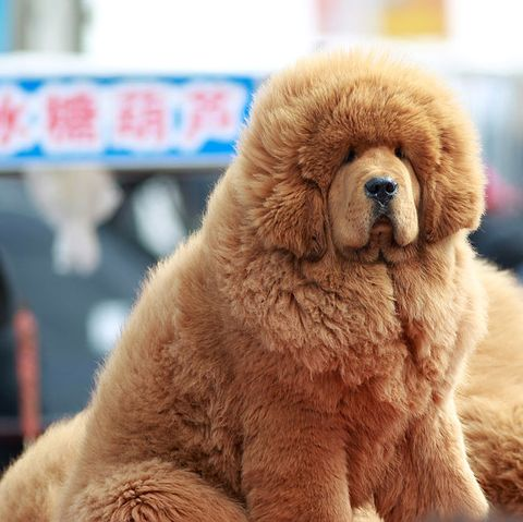 floooofik's tweet photo. https://t.co/RjzVmxbT6A