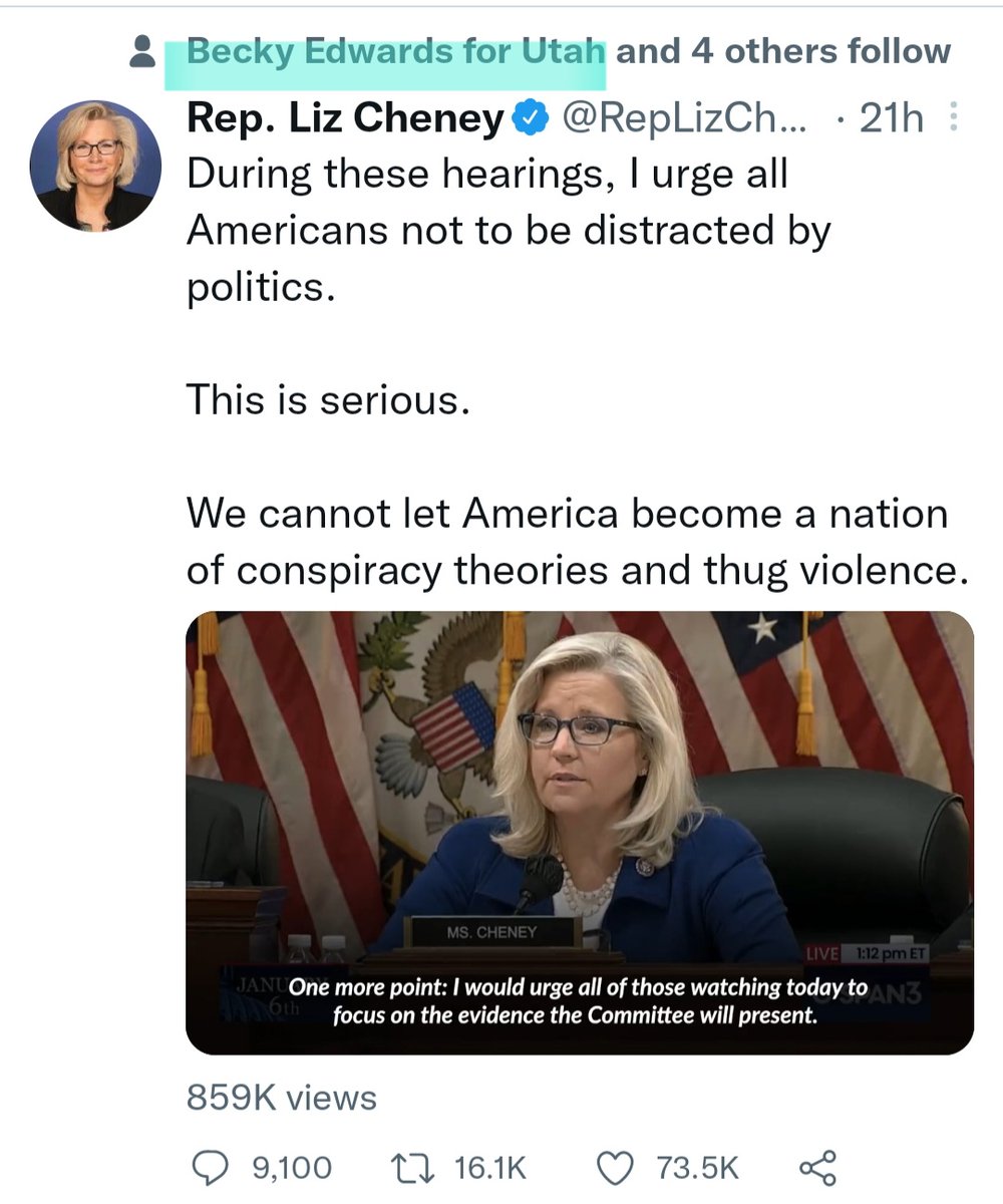 jinxed_living's tweet photo. @beckyforutah I'm supposed to vote for you when you agree with Liz Cheney? #BadforUtah https://t.co/Ai0ANNP4Ln