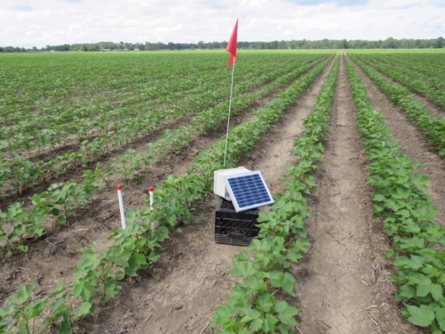 The <a href="/LSUAgCenter/">LSU AgCenter</a> best management practices for cotton and grain crops field day is July 12 at Somerset Plantation in Tensas Parish. The work is funded by a the Patrick F. Taylor Foundation. Registration at 8:30 a.m. Read more: bit.ly/3O89PZD