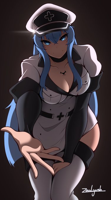 Yu Arisato on X: Esdeath 💙 Anime: Akame ga Kill!   / X