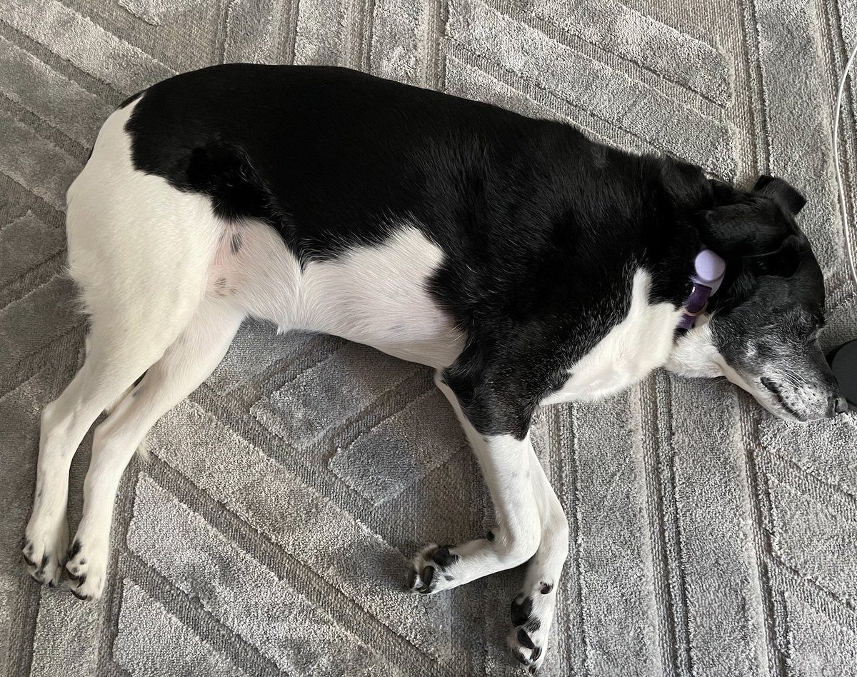 Jonathan Ozeran tweet media