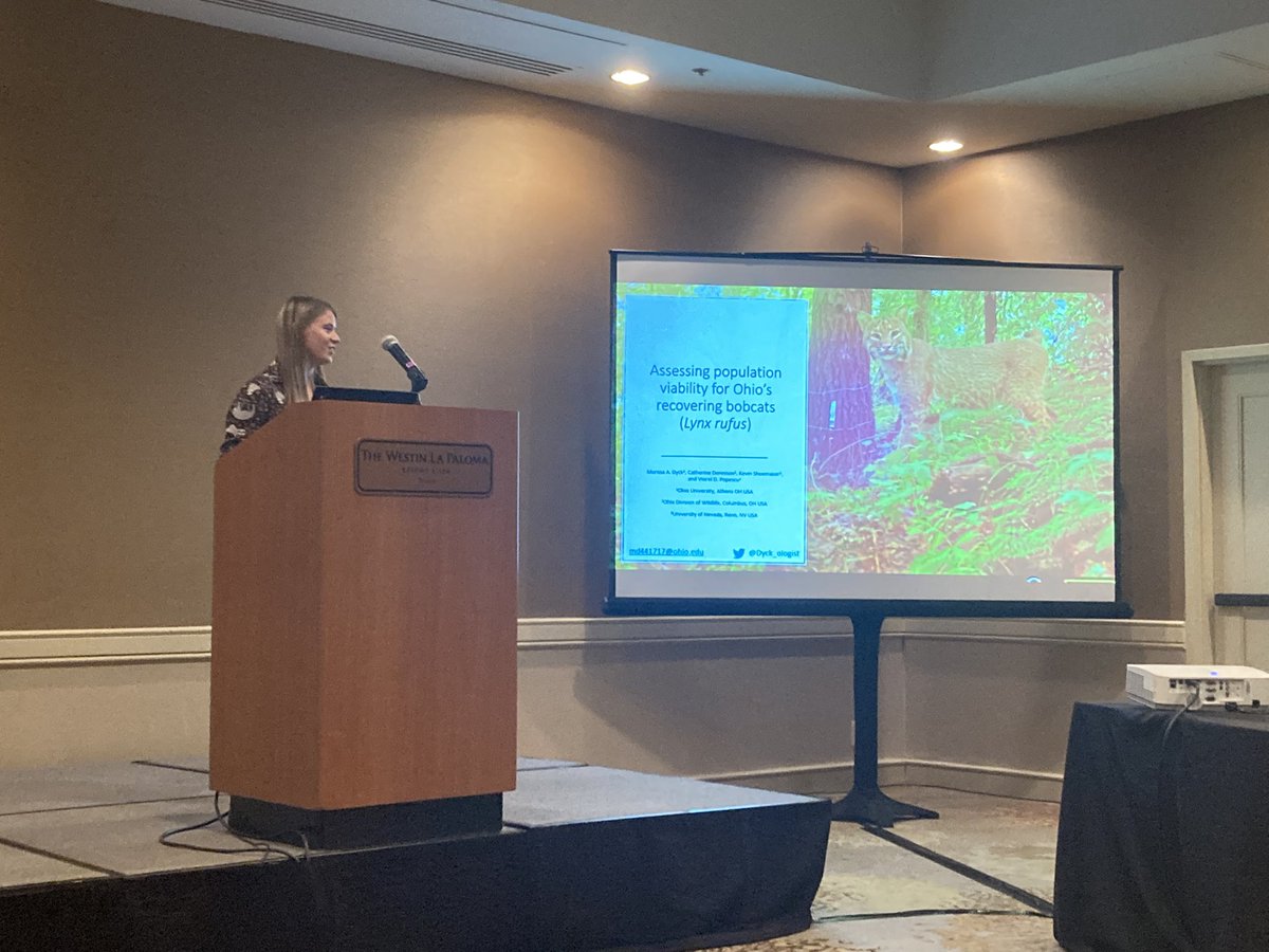 Dyck_ologist's tweet photo. If you didn’t get a chance to catch my talk at #ASMTucson it is also available via the online platform 

Title: Assessing population viability of Ohio’s recovering bobcats (Lynx rufus)

@MammalMeetings 
@Mammalogists https://t.co/aP0xRdAKwx