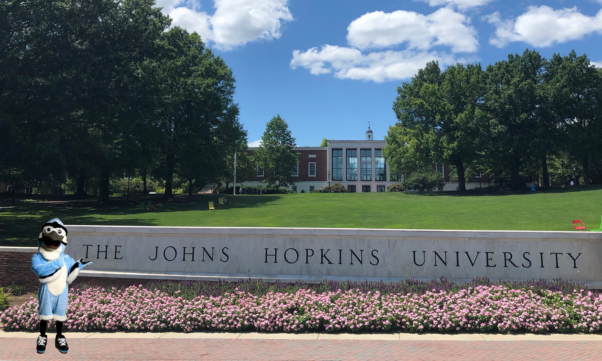 Johns Hopkins University. Университет Гопкинса 1993.