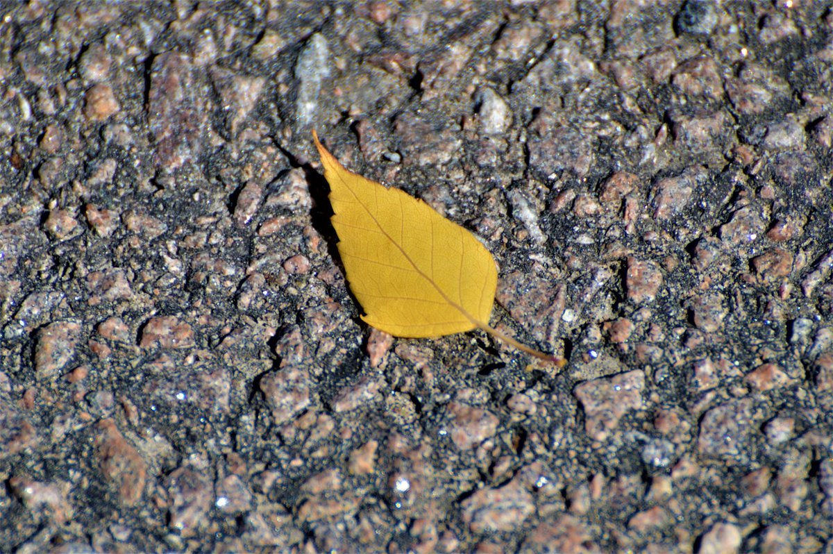 BlueBlue96yo's tweet image. 📸