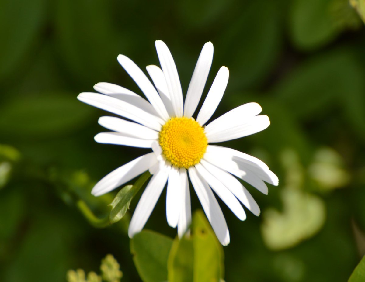 BlueBlue96yo's tweet image. 📸