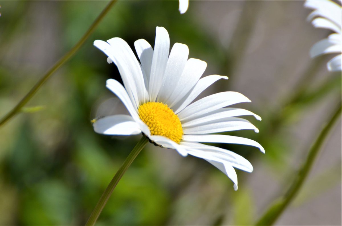 BlueBlue96yo's tweet image. 📸