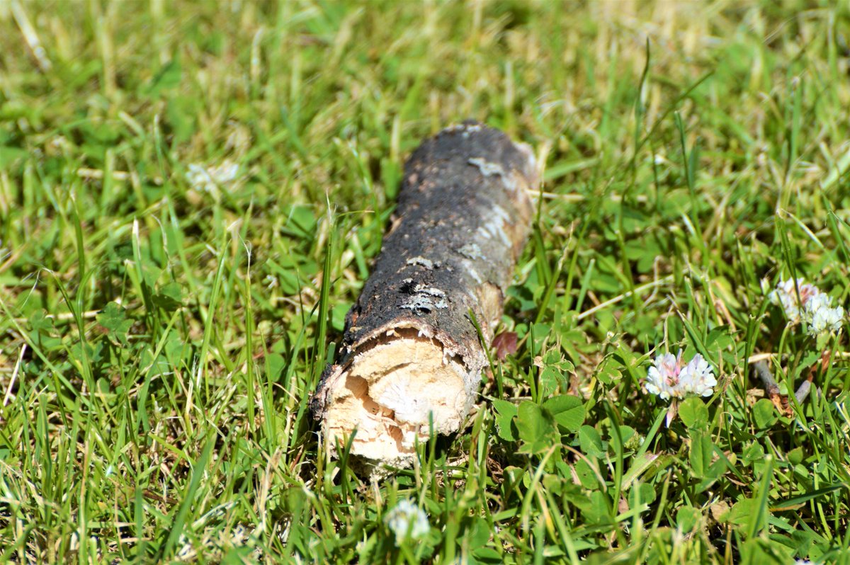 BlueBlue96yo's tweet image. 📸