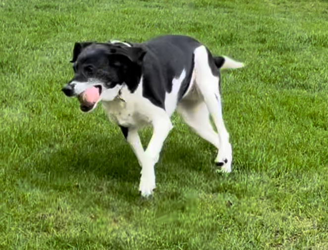 Jonathan Ozeran tweet media