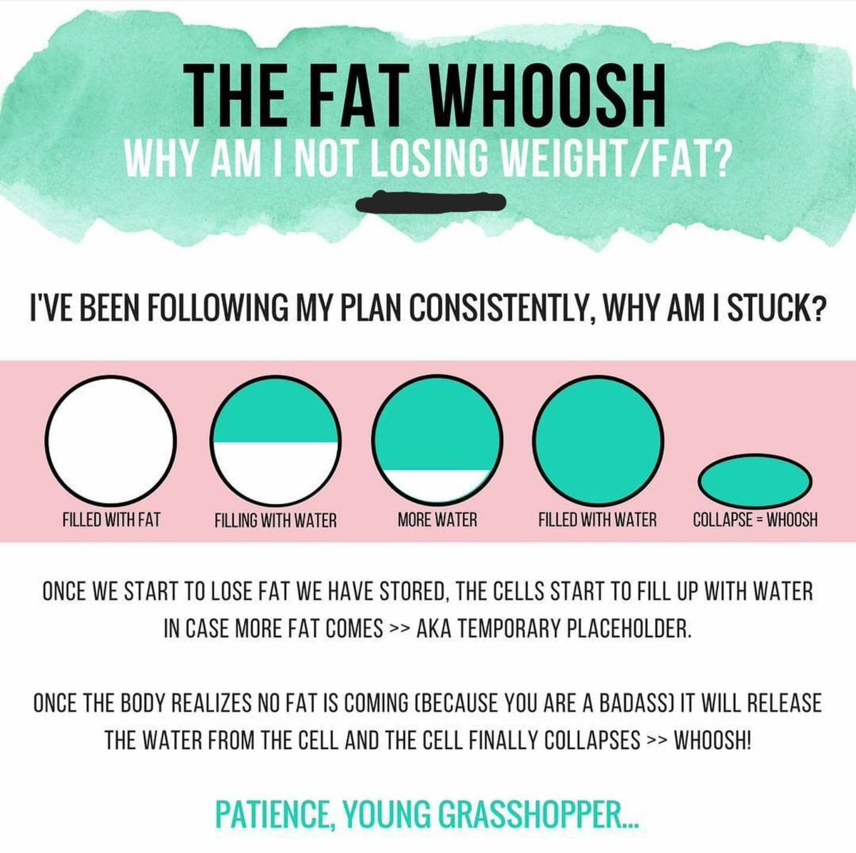 BMSmith0203's tweet photo. It really helps to stay the course when you know what your body is doing and why.💙
https://t.co/YFDOGTMD33
#WednesdayWellness #WednesdayWisdom 
#EmpoweredHealthAndHope #HealthCoach #FitnessCoach #LifeCoach #EmpoweredAging 
#EmpoweredLifeForWomenOver50 https://t.co/lc7MzJOx1W