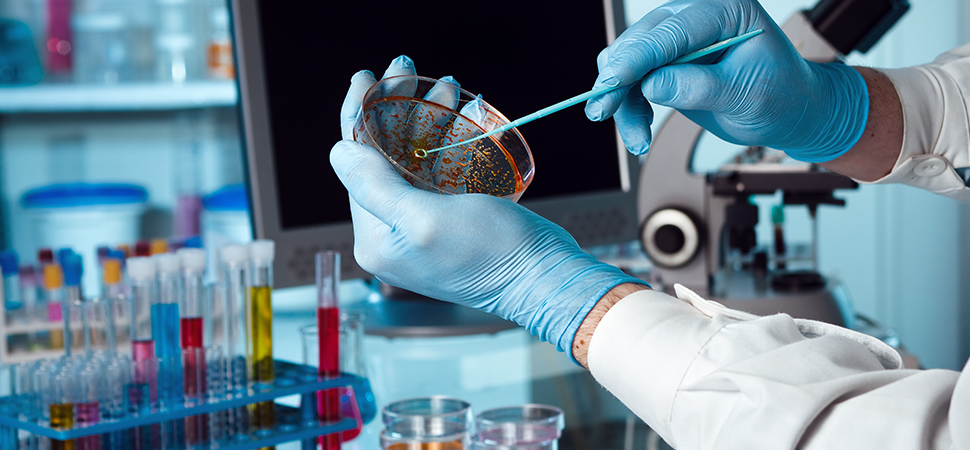 TroyBiologicals's tweet photo. These five steps should be followed in every microbiological experiment 🔬

1. Proceed with Caution

2. Disinfect Everything

3. Be Attentive

4. Label, Label, Label

5. Dispose of Substances Correctly

Visit our website for all your microbiology needs 🧪

https://t.co/27PEJSyggi https://t.co/IIp0ipPX0s