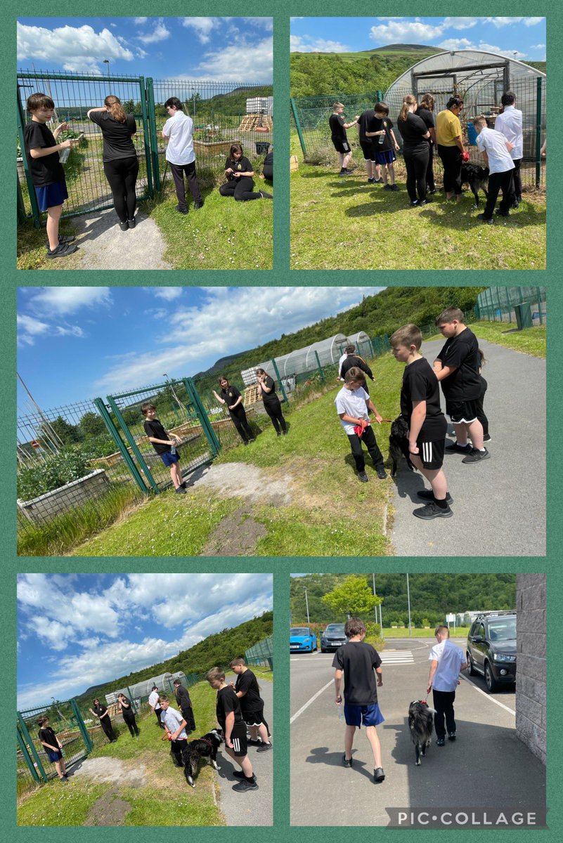 Here is our ‘green-fingered’ Craig, leading, supporting and encouraging his peers. Today, he led a Q&amp;A session at his favourite place, the school allotment. 👨‍🌾🪴#LanguageLiteracyAndCommunication #Oracy #ValuingContributions  #SJNurture🌱 <a href="/MaestegSchool/">Maesteg School</a>💛🖤