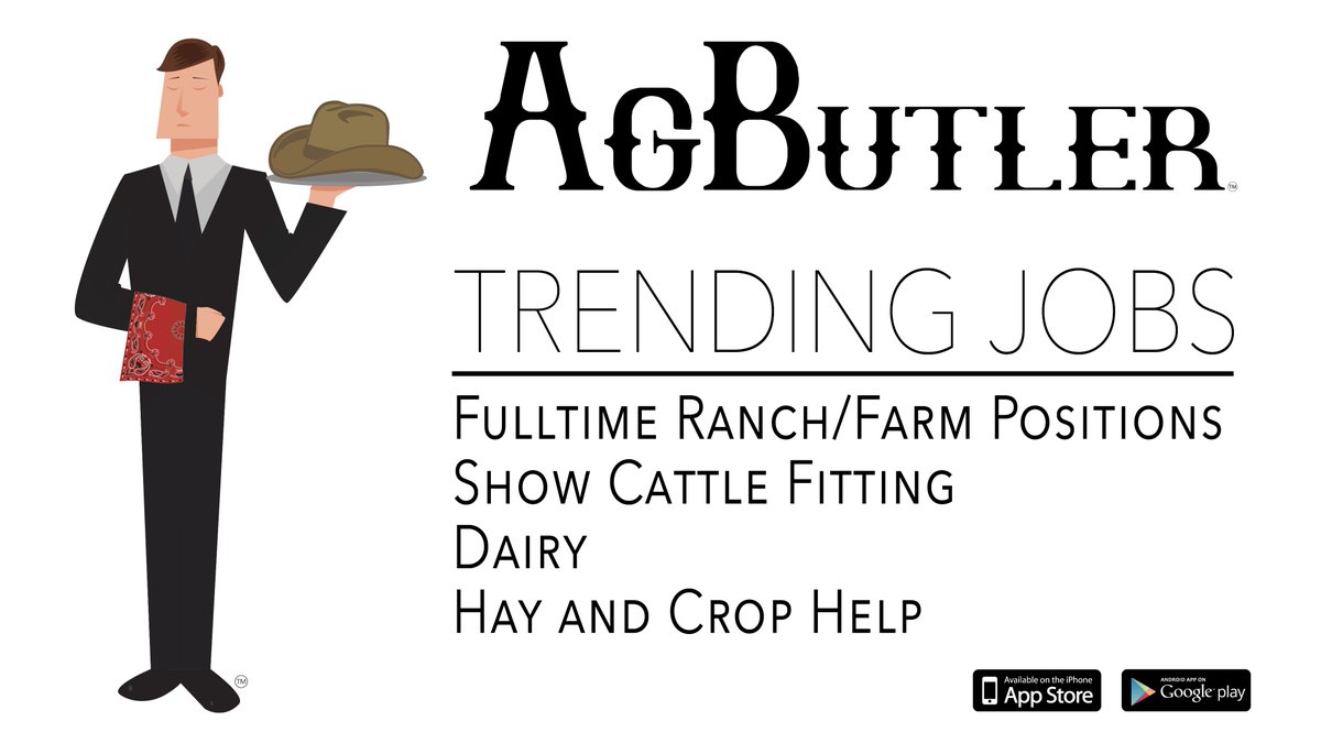 NEW trending jobs this week!
#AgButlerApp #FarmLabor #SummerOnTheFarm #AgJob #ShowCattle #DairyFarm #HaySeason