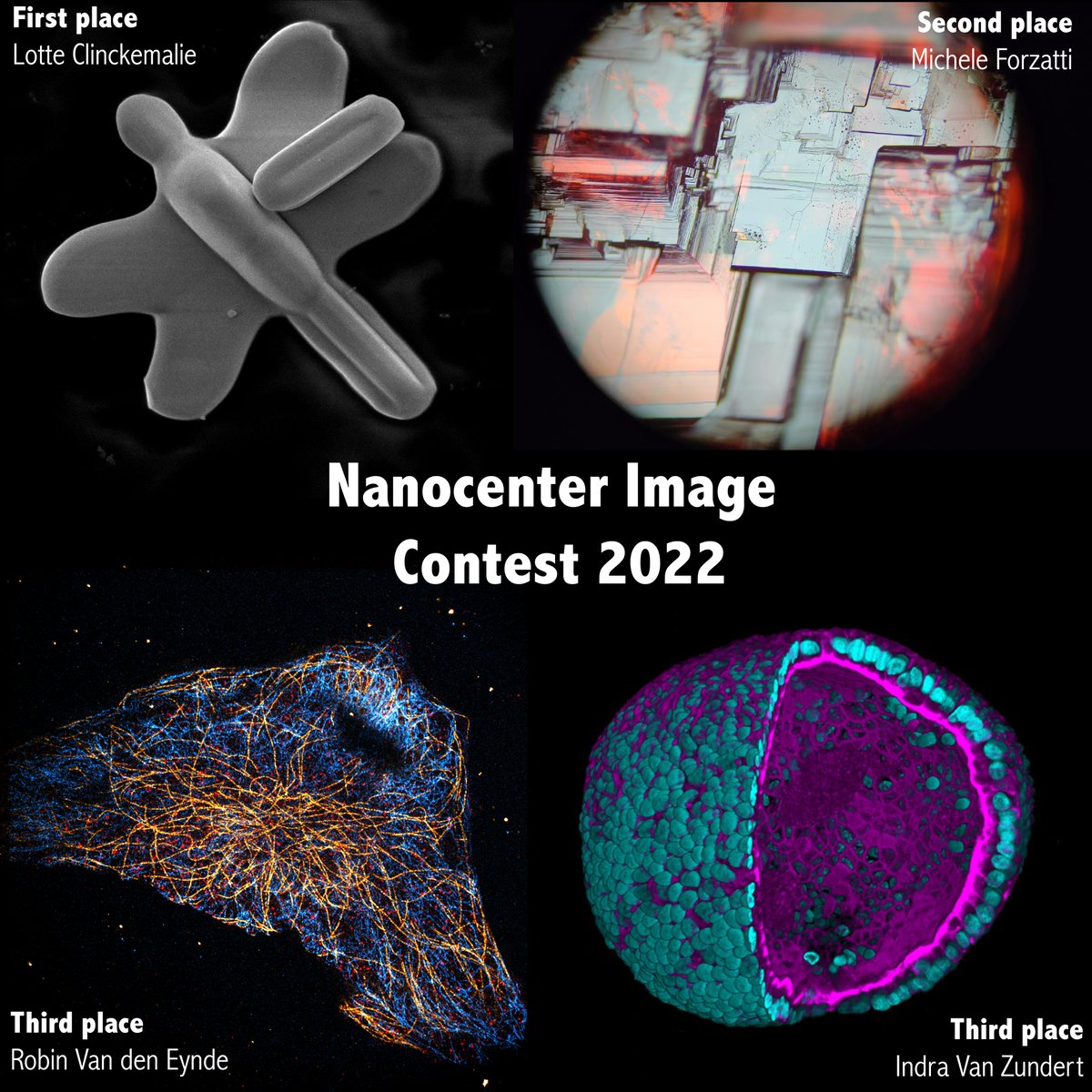 The first image contest of the Nanocenter <a href="/KU_Leuven/">KU Leuven</a>  is a wrap! 🔬 Great participation of <a href="/HofkensLab/">Hofkens Lab</a> <a href="/RoeffaersLab/">Roeffaers Lab</a> <a href="/DebroyeG/">Debroye Group</a> <a href="/DedeckerLab/">Dedecker Lab (dedeckerlab.bsky.social)</a> <a href="/MAtrix_KULeuven/">MAtrix</a> <a href="/DeFeyterGroup/">Steven De Feyter</a>,  Prof. Hiroshi Uji-i (and <a href="/Rocha_Lab/">Rocha Lab</a>, of course!). Looking forward to seeing these images on our walls 🤩